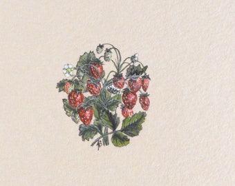 Original botanical illustration with Strawberries, watercolor handmade home decor, miniature present