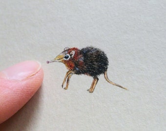 Toporagni elefante, miniatura acquerello originale, illustrazione dipinta a mano dei Piccoli Cinque Africa, regalo per gli amanti della storia naturale, regalo per l'insegnante