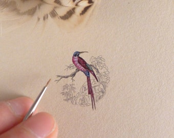 Red Bee-eater, Original miniature painting with bird , Natural History Birds, tiny gift for birds lover, watercolor art for small spaces