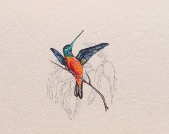 Original illustration with Bird Humming-bird, miniature painting watercolor, present for you