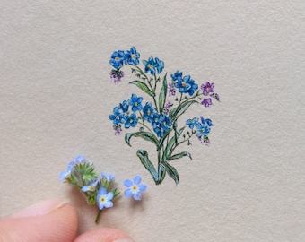 Miniatur-Illustration mit Vergissmeinnicht Blumen, Blumen Original-Gemälde Aquarell, Geburtstagsgeschenke für sie