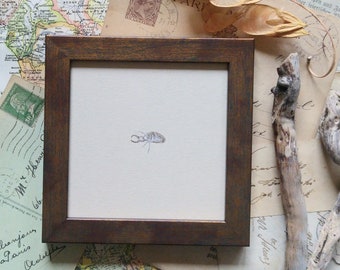 Handgemalte Miniatur mit Ameisenlöwe, Little fünf Afrika Aquarell Illustration, Geschenk für Afrika-Liebhaber, Tierliebhaber Geschenk, Aquarellkunst
