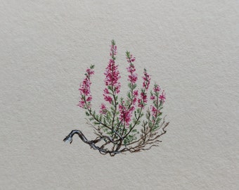 Handmade Wall Art with Botanical Heathers - Unique Miniature Illustration, miniature painting, country wall art
