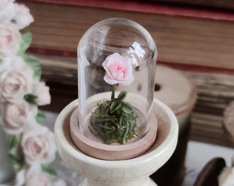 Glass dome with miniature rose, fairy decoration, for the dollhouse, tiny present