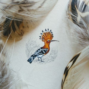 Illustrazione vintage con uccelli Upupa, uccello della storia naturale, idee regalo uniche, decorazione murale immagine 1