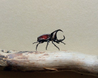 Miniatura dipinta a mano con scarabeo rinoceronte, illustrazione dei cinque piccoli africani, acquerello di storia naturale, regalo per gli amanti della natura africana