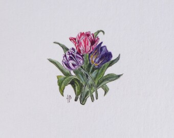Botanical illustration tulips, watercolor flowers miniature, nature decor, birthday present