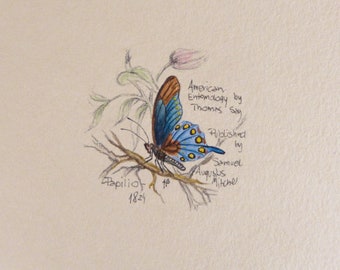 Peinture miniature originale avec papillon bleu, illustration peinte à la main, nature inspirée, cadeau pour amoureux des papillons, cadeau pour professeur de biologie