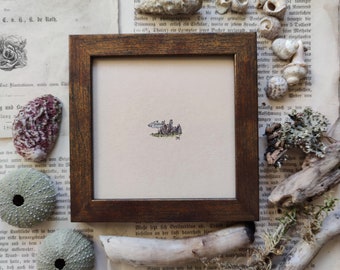 Original Miniaturaquarell mit Austern, naturgeschichtliche Illustration Muscheln, nautische Wanddekoration, Geschenk für Meeresliebhaber