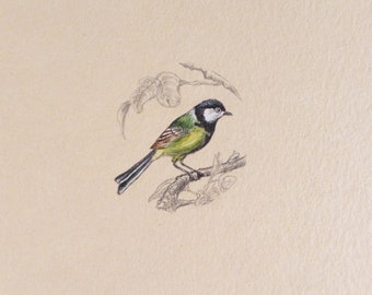 Cinciallegra uccello, dipinto in miniatura originale, acquerello di uccelli di storia naturale, regalo per gli amanti degli uccelli, arte murale in stile cottagecore