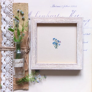 Miniaturowa ilustracja z kwiatami Niezapominajka, oryginalna akwarela malarska Kwiaty, prezenty urodzinowe dla niej zdjęcie 3