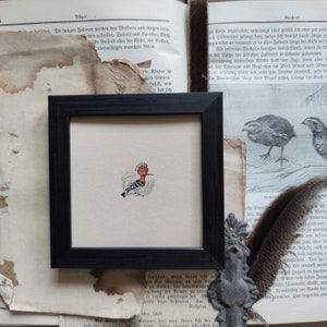 Illustrazione vintage con uccelli Upupa, uccello della storia naturale, idee regalo uniche, decorazione murale immagine 4