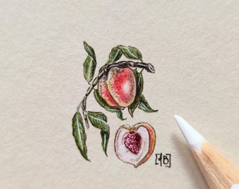 Miniatur botanische Illustration mit Pfirsichen, Handmalerei, Vintage Früchte, Wanddekoration Küche