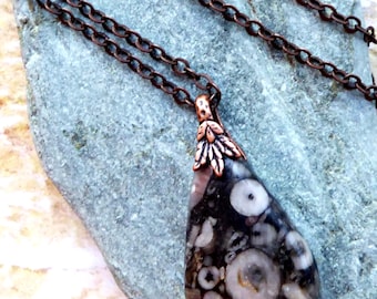 Crinoid Fossil, Fossil Pendant, Crinoid Pendant