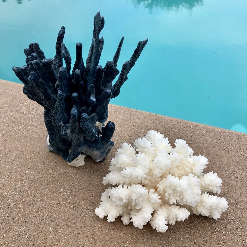 Natural Blue Coral With White Coral Sale Now 59 95 Beach House Etsy