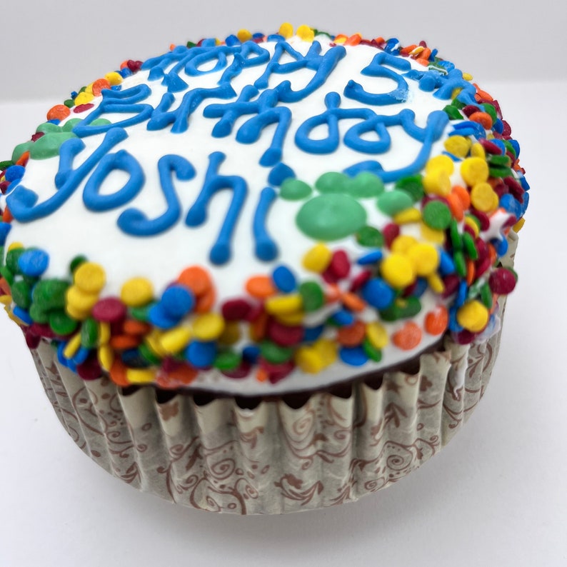 Cupcake d'anniversaire pour chien Fait main Cupcake géant 4 po. avec confettis Gâteau de joyeux anniversaire Gâteau joyeux anniversaire Gâteau du 1er anniversaire du chiot image 6