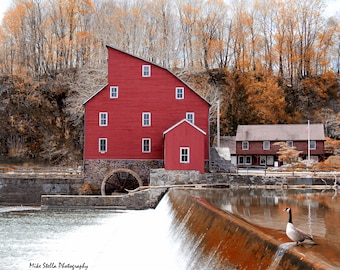 May include: A red wooden watermill with a water wheel, a small white goose standing on a dam, and a small brown building in the background. The mill is surrounded by trees with fall foliage.