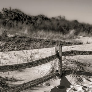 Beach Dunes, Island Beach St. Park, Jersey Shore, Black and White, Beach, Sand, Beach Photos, NJ, Fine Art Photography, Wall Art