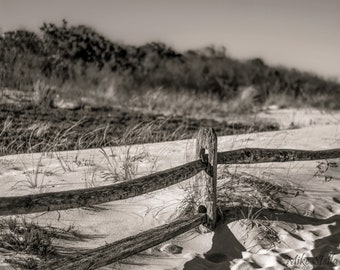 Beach Dunes, Island Beach St. Park, Jersey Shore, Black and White, Beach, Sand, Beach Photos, NJ, Fine Art Photography, Wall Art