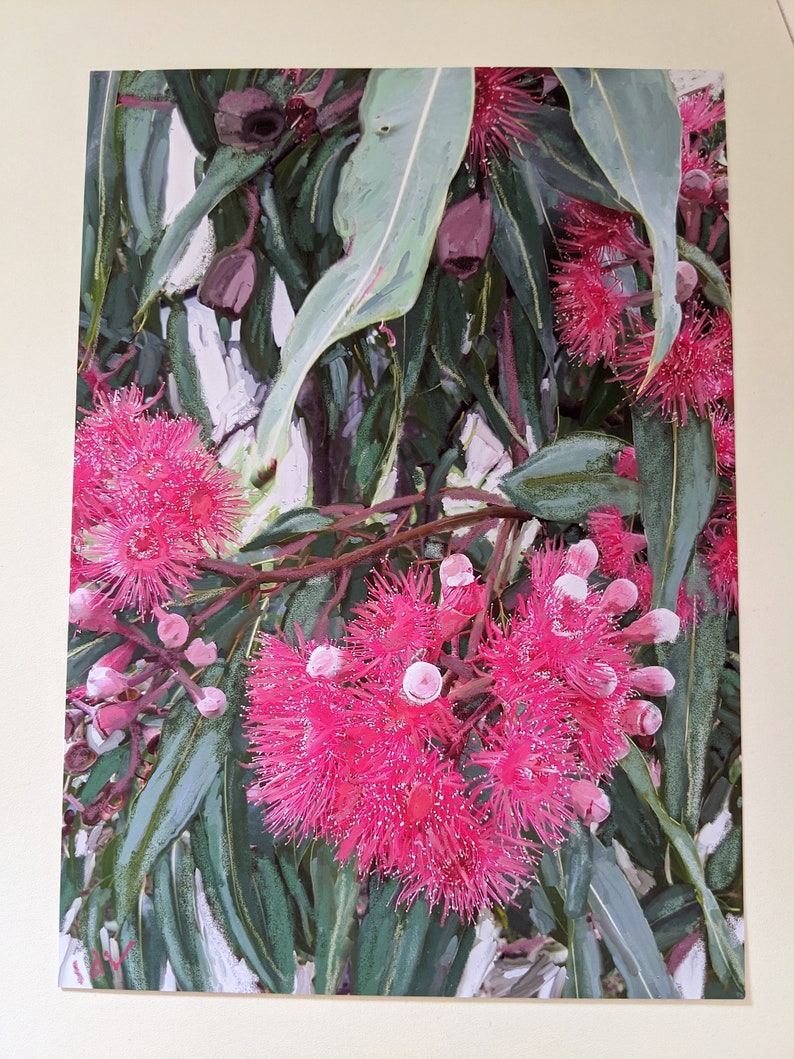A2 pink eucalyptus downloadable botanical art print 45 x60cm
