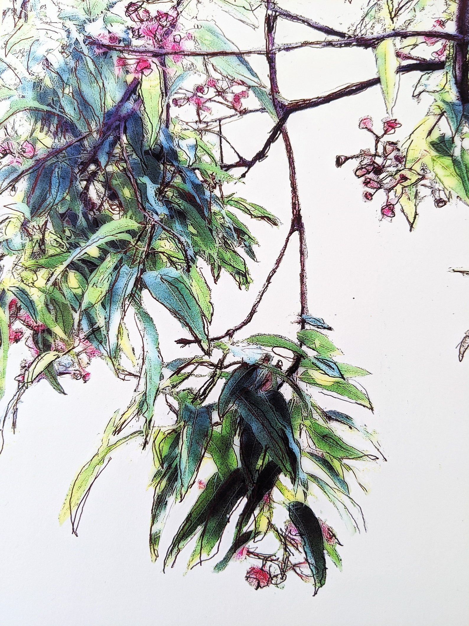 A2 downloadable eucalyptus art print botanical wall art Etsy