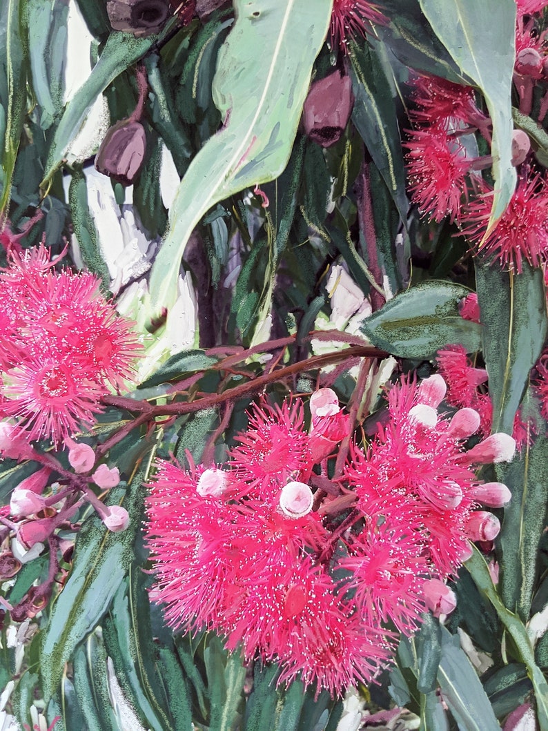 A2 pink eucalyptus downloadable botanical art print 45 x60cm