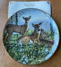 Friend’s of the Forest Collector’s Plates
