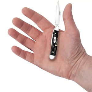 May include: A small pocket knife with a black bone handle and a stainless steel blade. The knife is closed and being held in a person's hand.