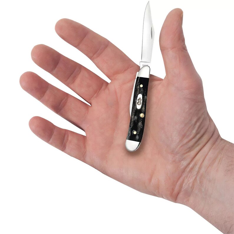 May include: A small pocket knife with a black bone handle and a stainless steel blade. The knife is closed and being held in a person's hand.
