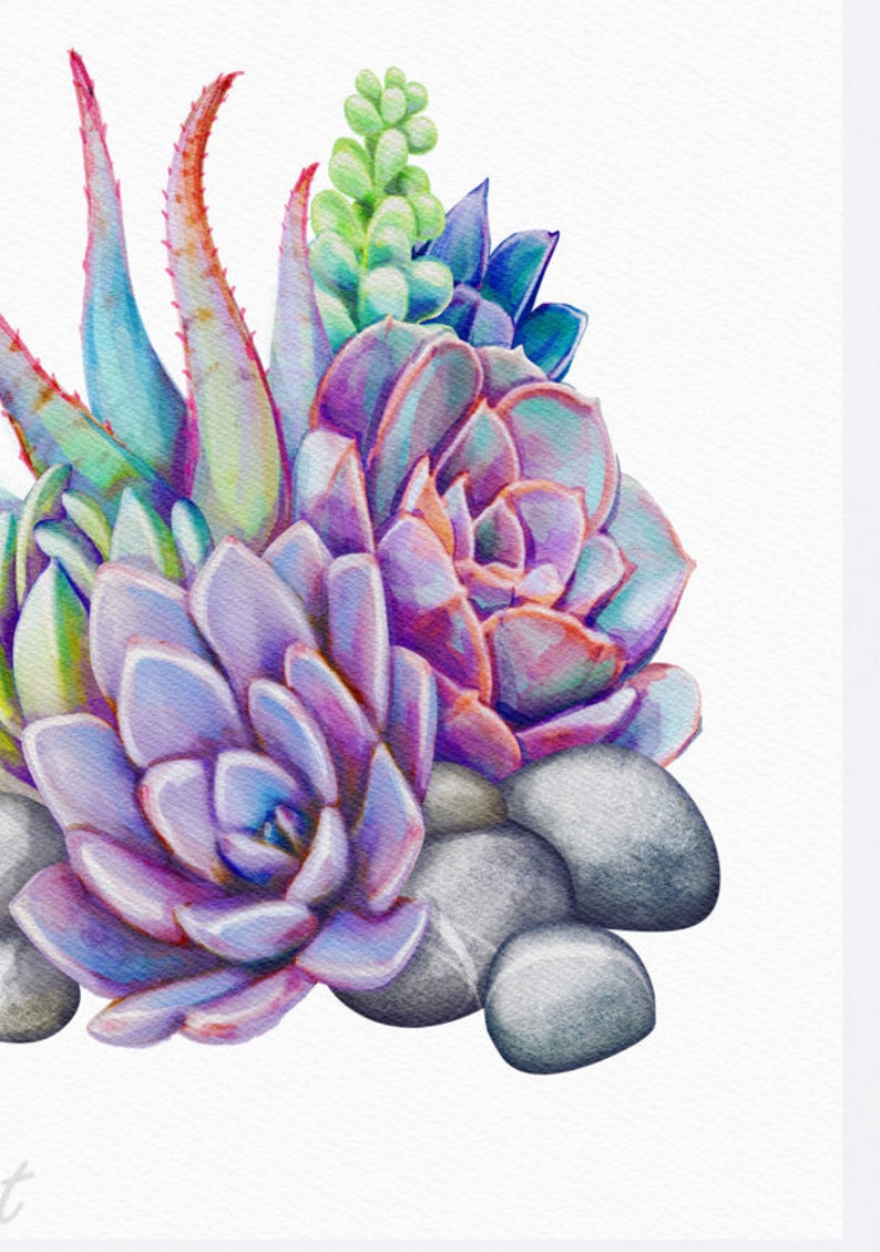 watercolor-succulent-printable-purple-and-blue-home-wall-art-etsy