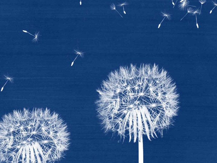 Navy Blue Dandelion Wall Art Abstract Art Print Modern Wall Etsy