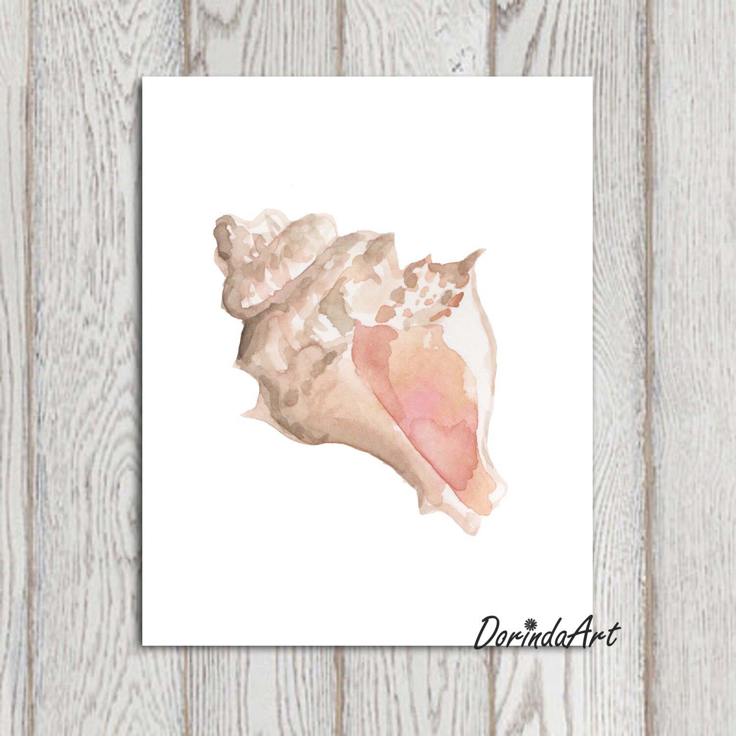 Sea Shell Print Watercolor Shell Printable Coral Wall Art - Etsy