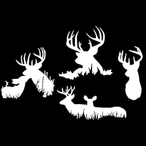 Pacote de 4 decalques Deer Buck - Pequeno 3,5&quot;