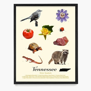 Póster de símbolos del estado de Tennessee, arte mural de Tennessee, decoración del hogar de Tennessee, arte de inauguración de la casa, regalo de Memphis, hogar de Nashville
