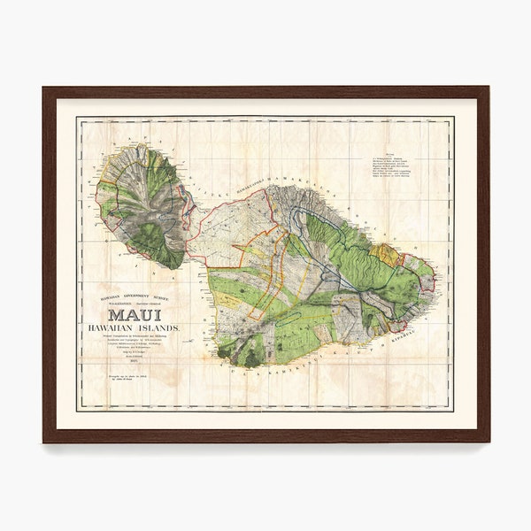 Maui Map, Vintage Maui Map 1885, Hawaii Map, Maui Art, Hawaii Art, Maui Poster, Hawaii Poster, Vintage Map, Hawaii Art, Hawaii Poster, Home