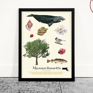 Massachusetts State Symbole Kunstdruck