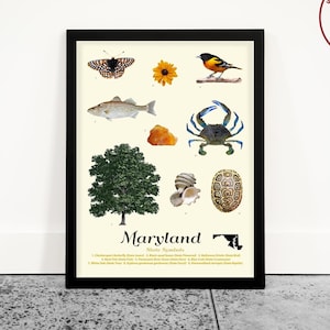Maryland State Symbols Art Print: Typology Wall Decor