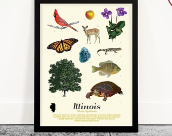 Impresión artística de símbolos del estado de Illinois: decoración del hogar con tipología moderna