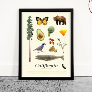 Póster de símbolos del estado de California, arte de California, póster de California, arte mural de California, decoración de California, Los Ángeles, San Francisco