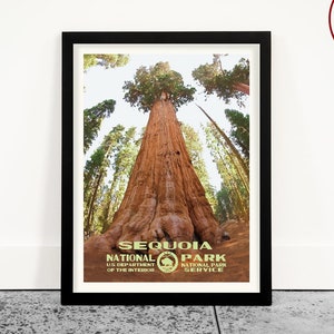 Sequoia National Park Poster: Vintage Travel Art Print