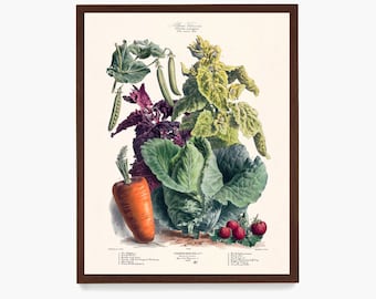 Póster de tabla de verduras francesas: arte de pared de cocina vintage
