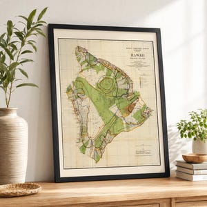 Pode incluir: Um mapa antigo emoldurado do Havaí intitulado Hawaii Territory Survey, apresentando marcações topográficas detalhadas em tons de verde, amarelo e marrom sobre um fundo creme, inserido em uma moldura preta simples com borda branca.