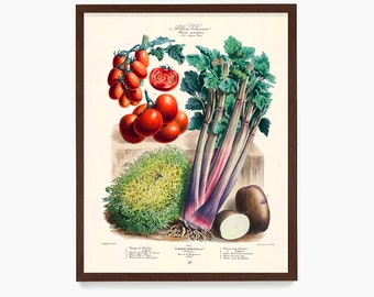 Vegetable Poster, Kitchen Decor, Food Wall Art, Cooking Decor, Kitchen Remodel, Chef Gift, Restaurant