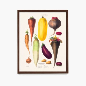 Kitchen Wall Art, Kitchen Poster, Vegetable Poster, Vegetable Art, Food Art, Kitchen Art, Chef, Cooking Poster, Cooking Art, Carrot, Beat