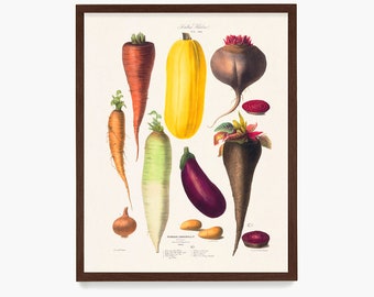 Lámina vegetal vintage: Cosechas de huertos del siglo XIX