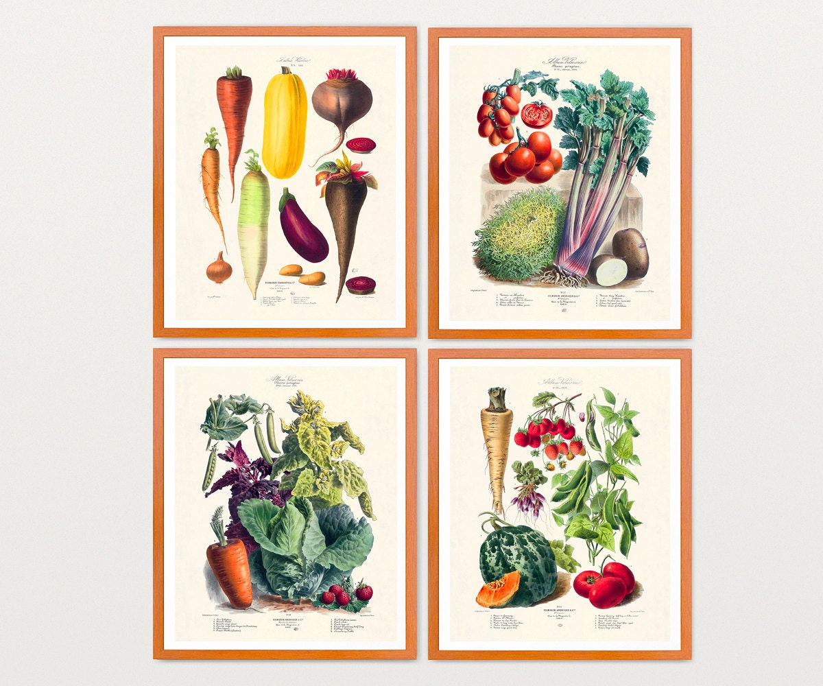 Vegetable Art Vegetable Print Set Vegetable Garden Etsy