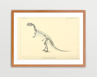 Jurassic Dinosaur Illustration Vintage Prints Antique Nature Print Natural History Art