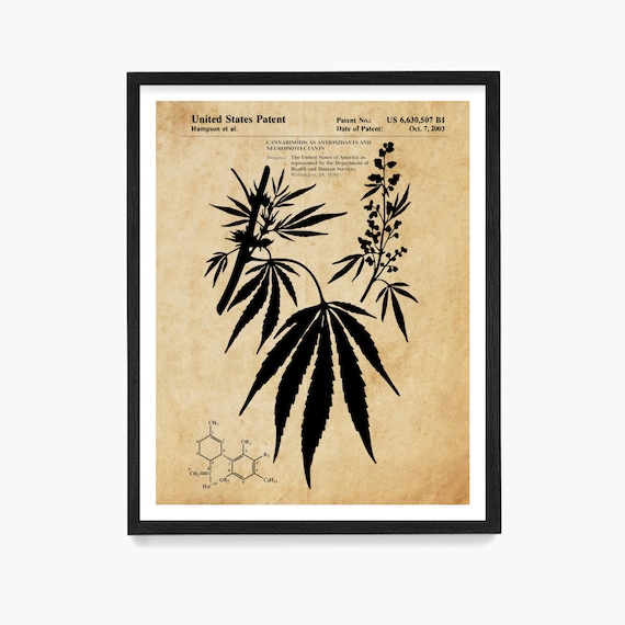 Medical Cannabis Patent Print Marijuana Marijuana Patent - Etsy
