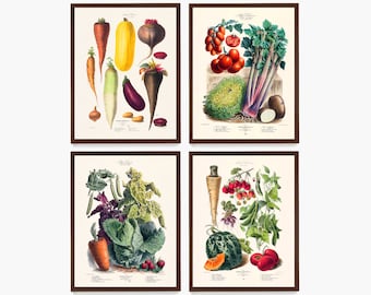 French Vegetable Poster Set: Vintage Kitchen Decor Prints