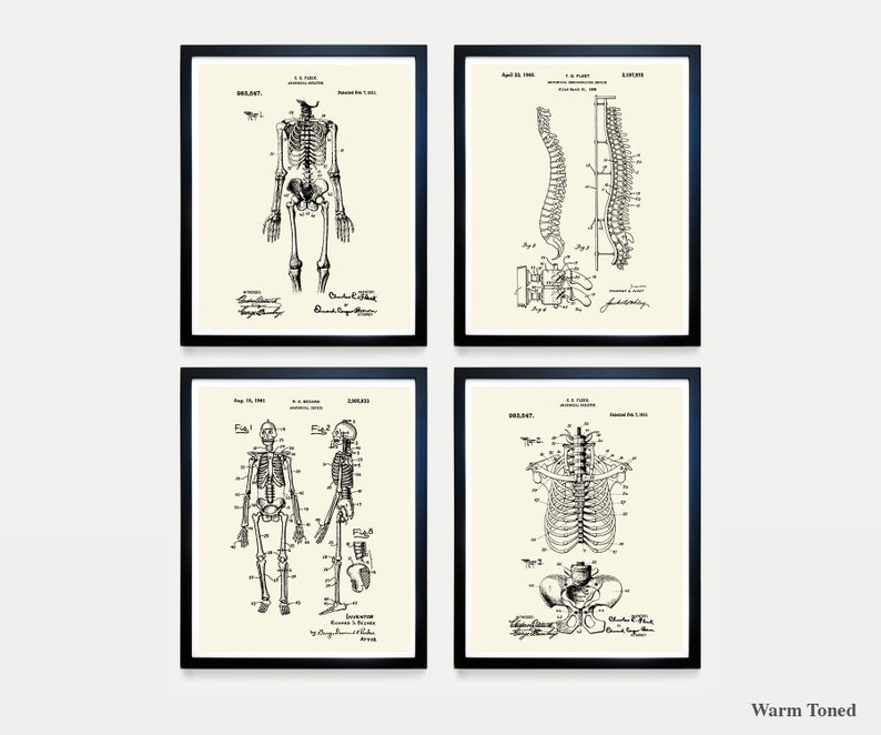 Skeleton Patent Art Print Set: Vintage Anatomy Posters, Medical Decor ...